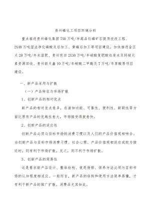 贵州磷化工项目环境分析.docx