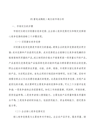 PE蓄电池隔板二氧化硅市场分析.docx