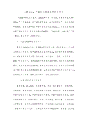 心得体会：严格对标对表展现担当作为.docx