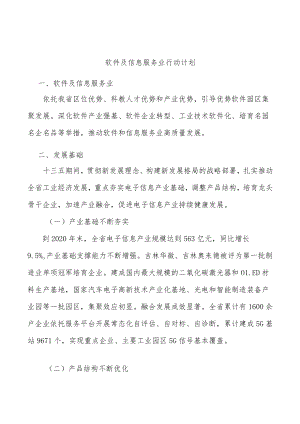 软件及信息服务业行动计划.docx