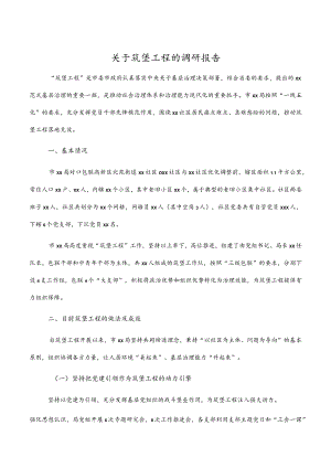 关于筑堡工程的调研（报告）材料.docx