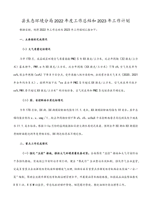 县生态环境分局2022年度工作总结和2023年工作（计划）范文.docx