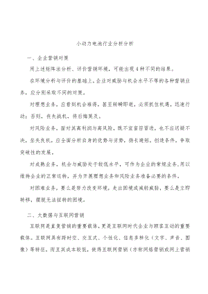 小动力电池行业分析分析.docx