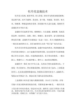 牡丹花盆栽技术.docx