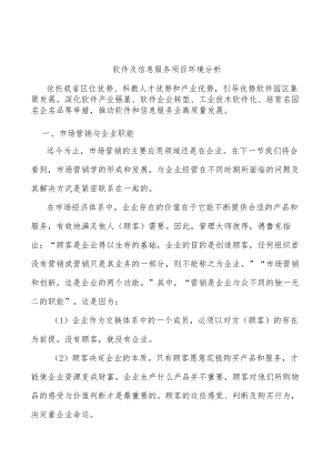 软件及信息服务项目环境分析.docx