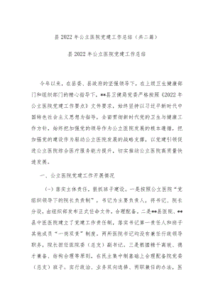 县2022年公立医院党建工作总结(共二篇).docx