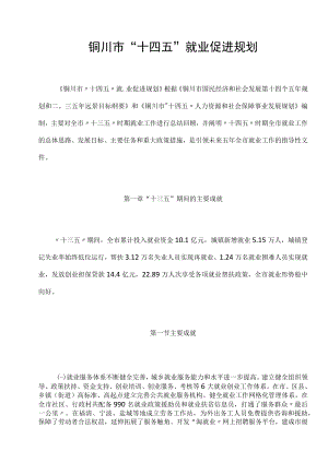 铜川市“十四五”就业促进规划.docx