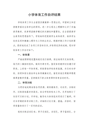 小学体育工作自评结果.docx