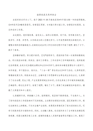 挂职收获及思考体会.docx