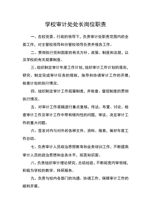 学校审计处处长岗位职责.docx