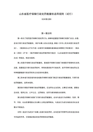 山东省医疗保障行政处罚裁量权适用规则（试行）.docx