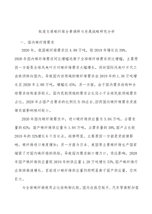 轨道交通碳纤维全景调研与发展战略研究分析.docx