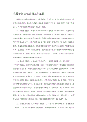 农村干部队伍建设工作汇报.docx