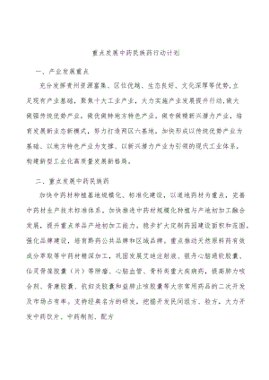 重点发展中药民族药行动计划.docx