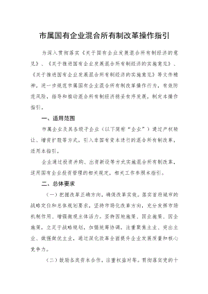 市属国有企业混合所有制改革操作指引.docx