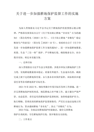 关于进一步加强耕地保护监督工作的实施方案.docx