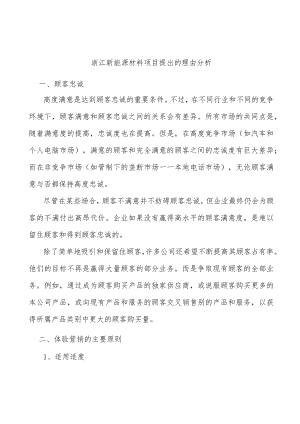 浙江新能源材料项目提出的理由分析.docx