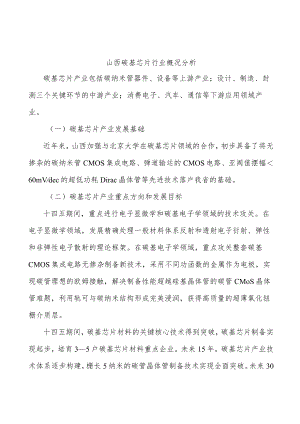 山西碳基芯片行业概况分析.docx