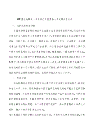 PE蓄电池隔板二氧化硅行业投资潜力及发展前景分析.docx