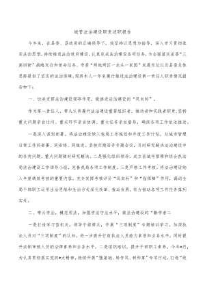 城管法治建设职责述职报告.docx
