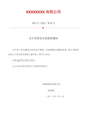 关于任命《XX公司安全总监》的任命书.docx