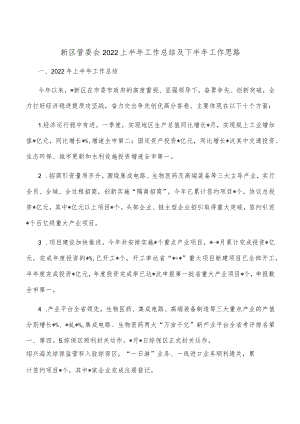 新区管委会2022上半年工作总结及下半年工作思路.docx