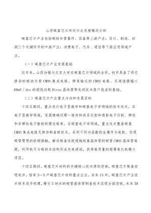 山西碳基芯片所处行业发展概况分析.docx
