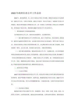 2022年政府信息公开工作总结.docx