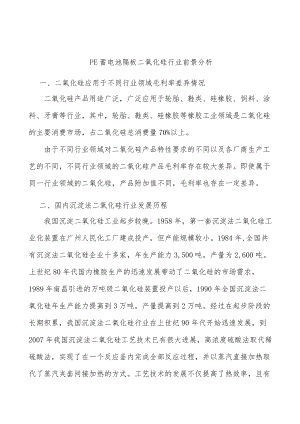 PE蓄电池隔板二氧化硅行业前景分析.docx