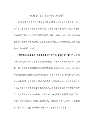 电视剧《县委大院》观后感.docx