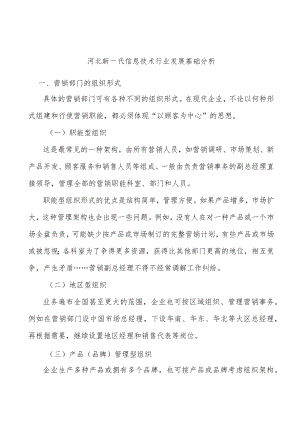 河北新一代信息技术行业发展基础分析.docx