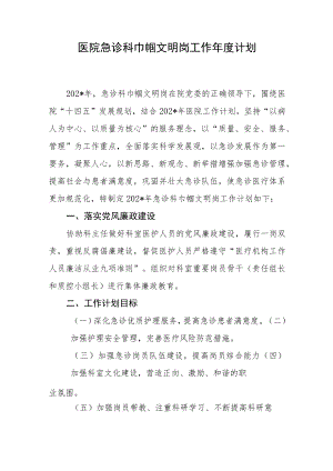 医院急诊科巾帼文明岗工作年度计划.docx