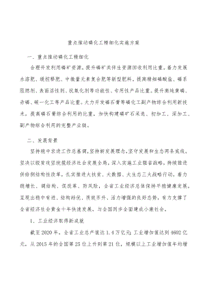 重点推动磷化工精细化实施方案.docx