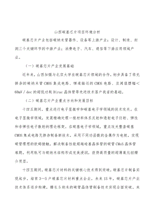 山西碳基芯片项目环境分析.docx