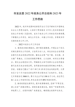 市发改委2022年政务公开总结和2023年工作思路.docx