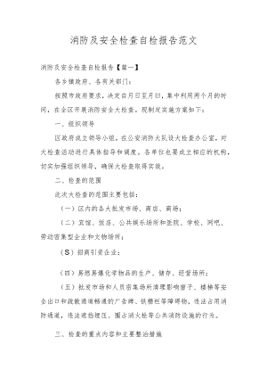 消防及安全检查自检报告范文.docx