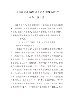 县乡村振兴局2022年上半年工作总结和下半年工作打算.docx