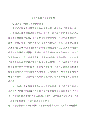 光伏多晶硅行业前景分析.docx