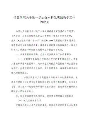 信息学院关于进一步加强本科生实践教学工作的意见.docx