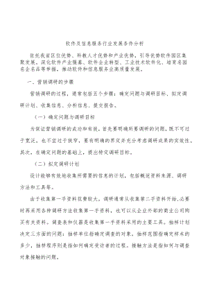 软件及信息服务行业发展条件分析.docx