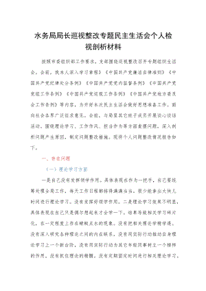 水务局局长巡视整改专题民主生活会个人检视剖析材料.docx