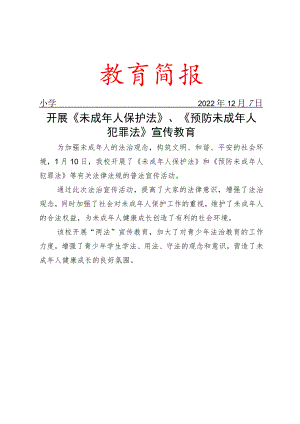 开展《未成年人保护法》、《预防未成年人犯罪法》宣传教育简报.docx