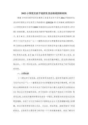2022小学党支班子组织生活会检视剖析材料.docx