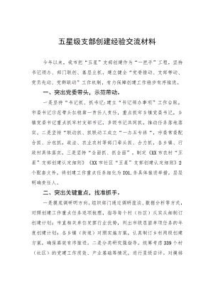 五星级支部创建经验交流材料.docx