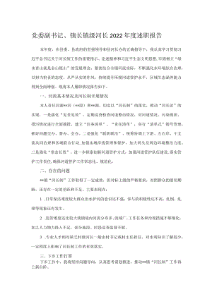 党委副书记、镇长镇级河长2022年度述职报告.docx