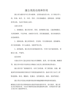 蒲公英的功效和作用.docx