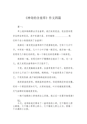 《神奇的含羞草》作文四篇.docx