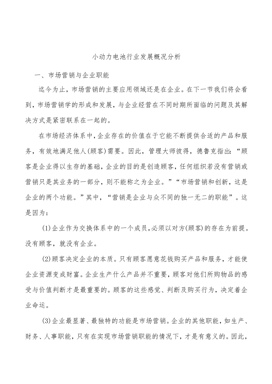 小动力电池行业发展概况分析.docx_第1页