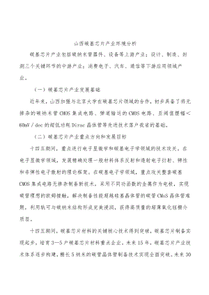 山西碳基芯片产业环境分析.docx