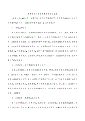 镇团委书记述职述廉述学述法报告.docx